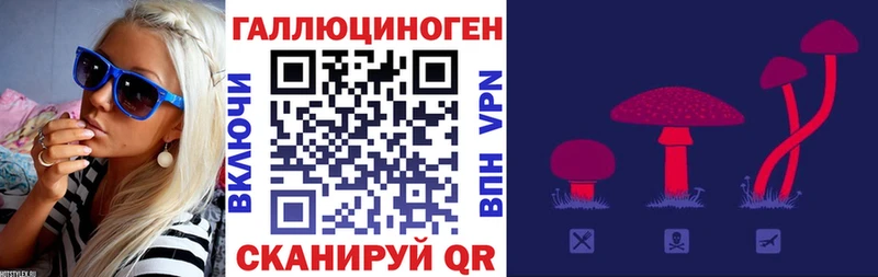 Купить  Рыльск  Псилоцибиновые грибы MAGIC MUSHROOMS 